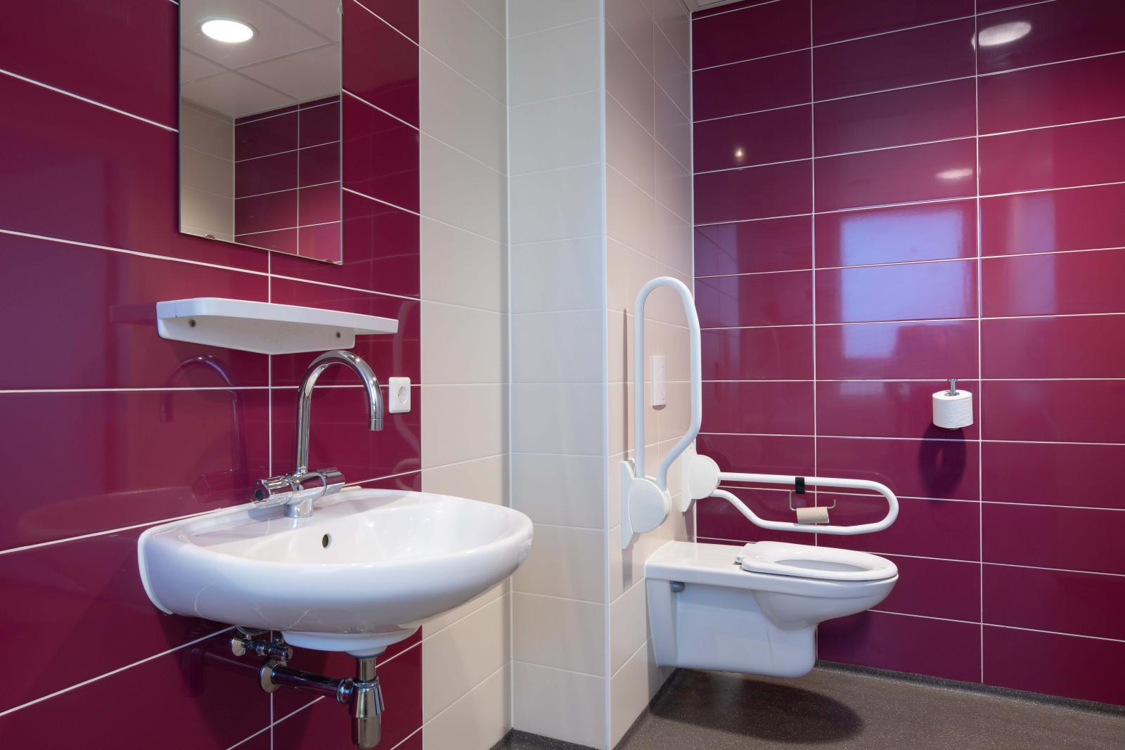 Maxus wandtegel violet