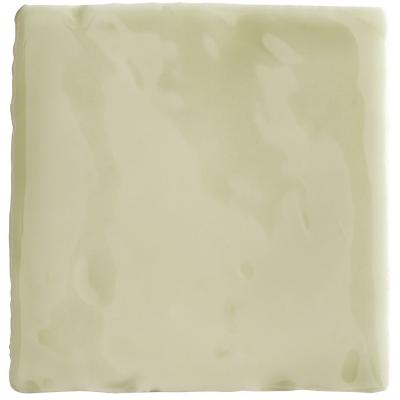 EV-2404 Aloe