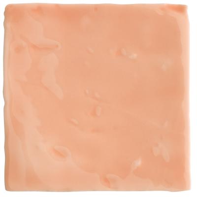 EV-4066 Salmon