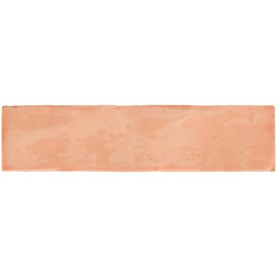 EV-4066 Salmon