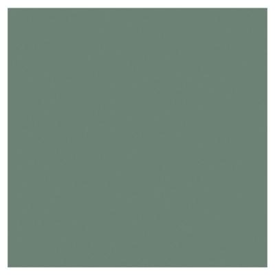 VC-1341RP Lagoon - Polished Rect