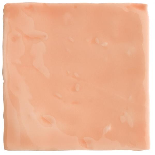 EV-4066 Salmon