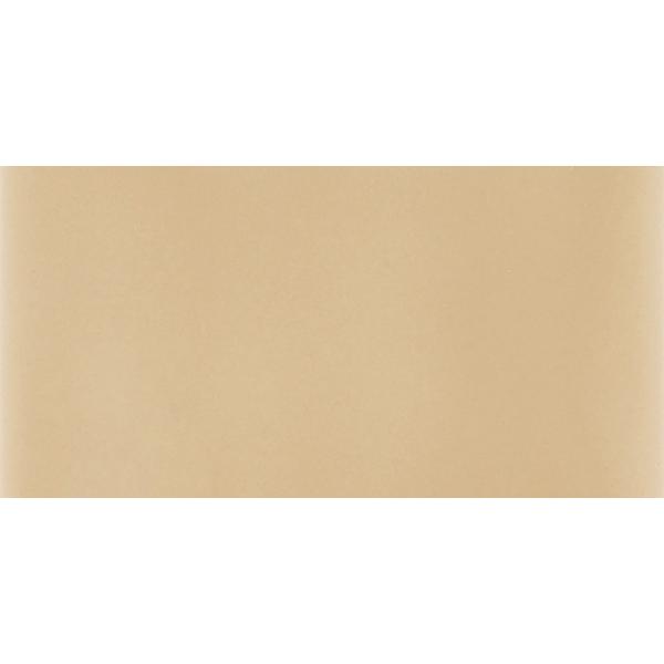W-1001 Camel